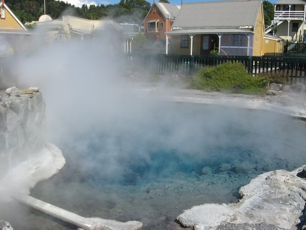 geothermal activity in Rotorua